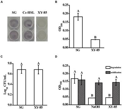 MzmL, a novel marine derived N-acyl homoserine lactonase from Mesoflavibacter zeaxanthinifaciens that attenuates Pectobacterium carotovorum subsp. carotovorum virulence